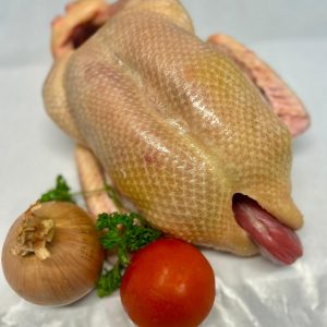 Canettes/Canards plein-air